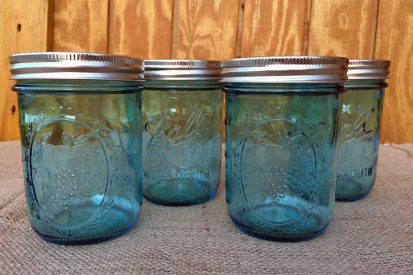 Blue Wide Mouth Pint Mason Jars - Canning Jars