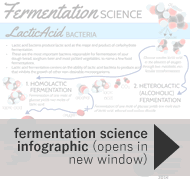 The-Science-of-Lactic-Acid-Fermentation-Molecular-Energy-Transfer-Info-Graphic